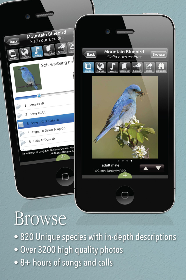 Audubon Birds iPhone